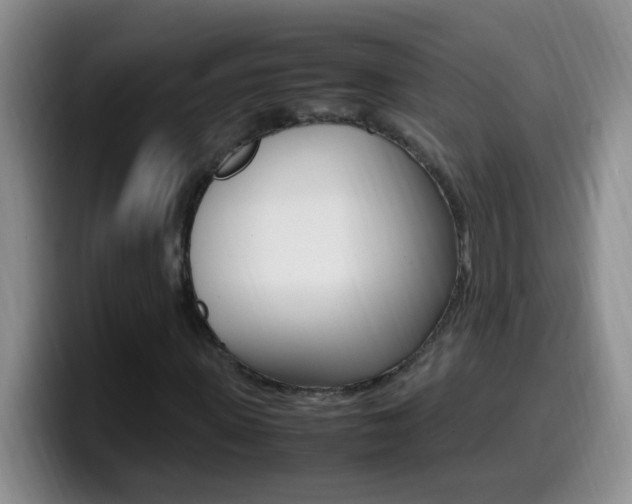 X0000099980915200805231020