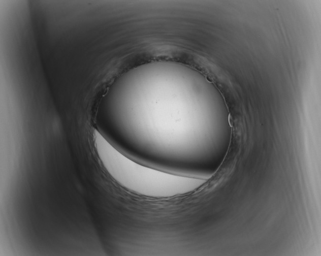 X0000099980916200805231020