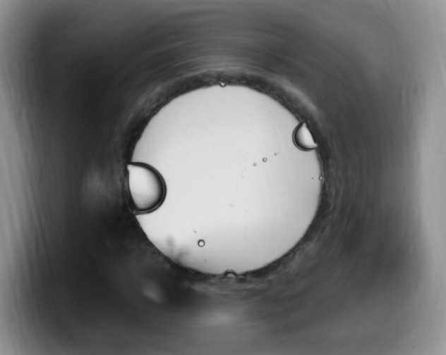 X0000099980918200805231020