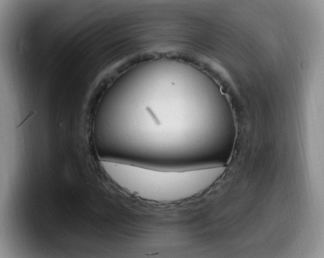 X0000099980920200805231020