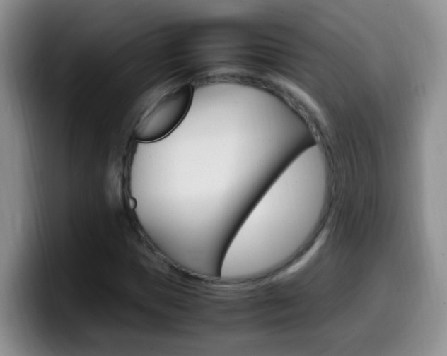 X0000099980921200805231020