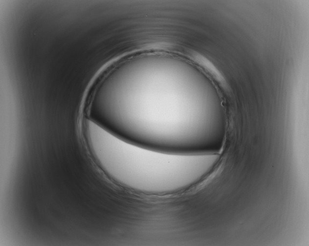 X0000099980924200805231020