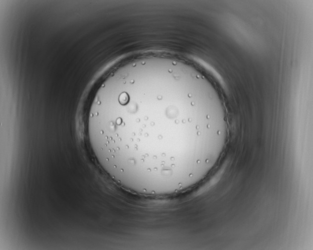 X0000099980925200805231020