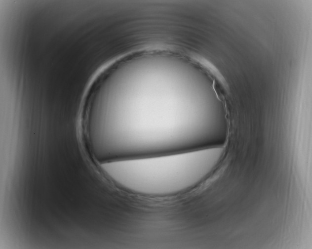 X0000099980928200805231020