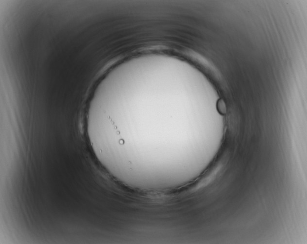 X0000099980929200805231020