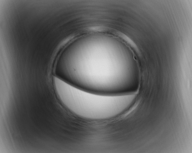 X0000099980930200805231020