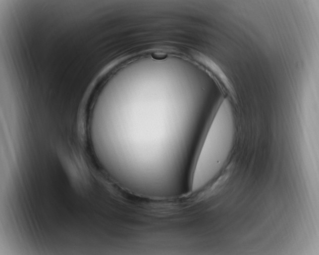 X0000099980931200805231020