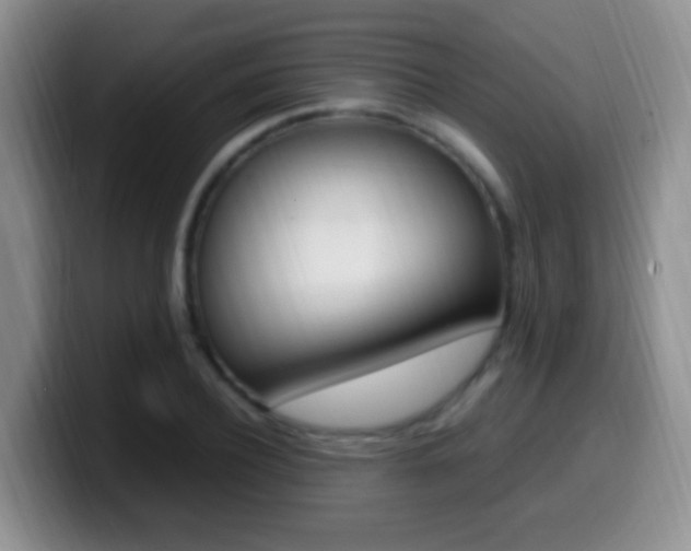X0000099980932200805231020