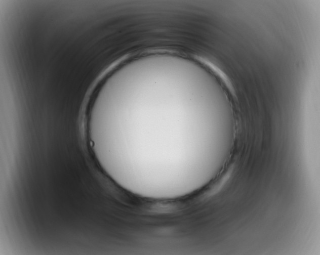 X0000099980933200805231020