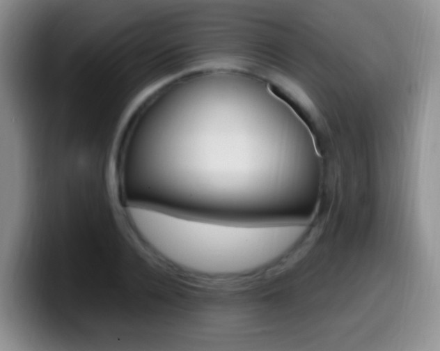 X0000099980936200805231020