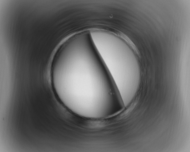 X0000099980939200805231020