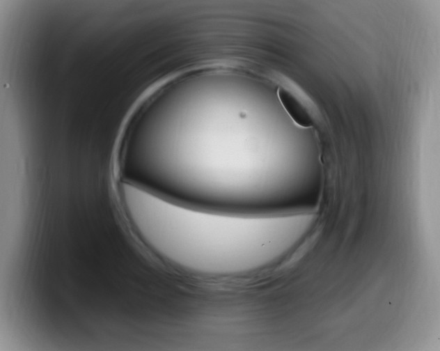 X0000099980940200805231020