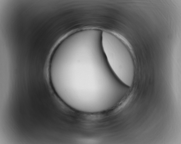 X0000099980941200805231020