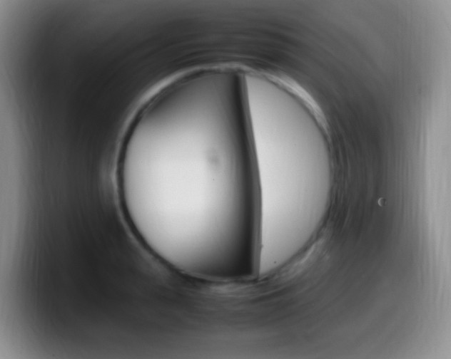 X0000099980943200805231020