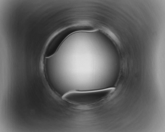X0000099980944200805231020