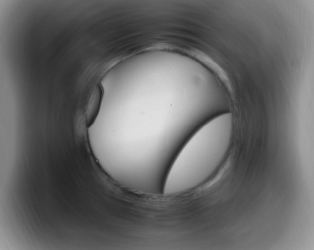 X0000099980945200805231020