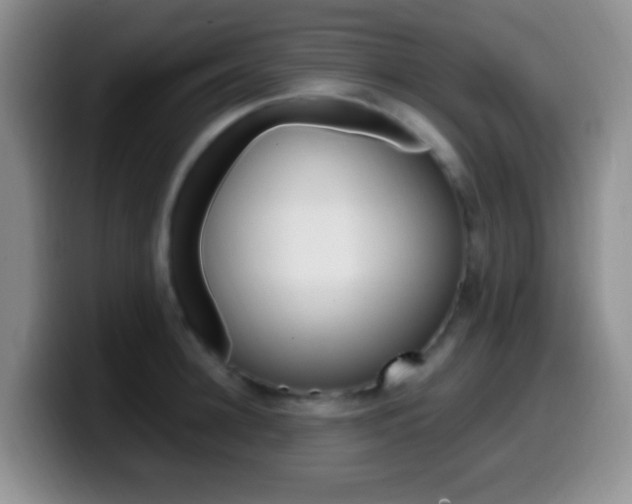 X0000099980948200805231020