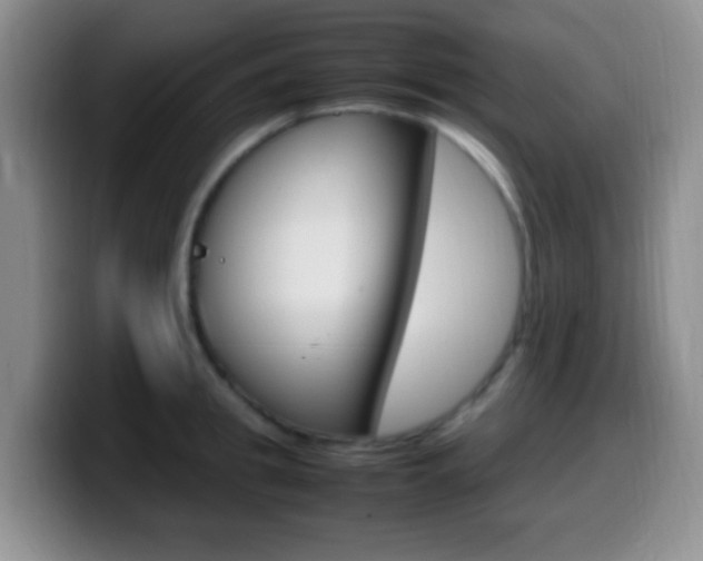 X0000099980949200805231020
