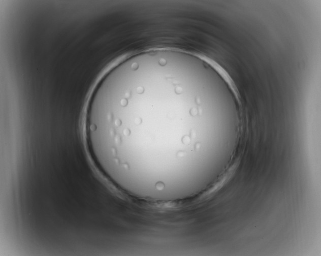 X0000099980957200805231020