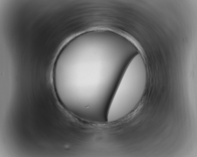 X0000099980958200805231020