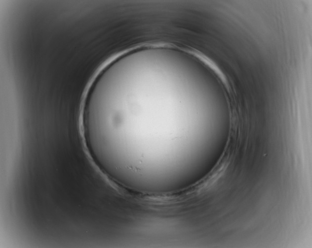 X0000099980959200805231020