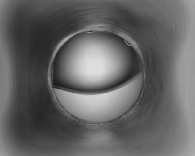 X0000099980960200805231020