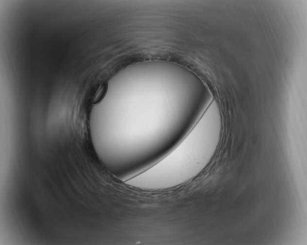 X0000099980963200805231020