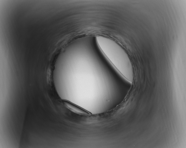 X0000099980964200805231020