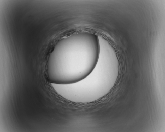X0000099980965200805231020