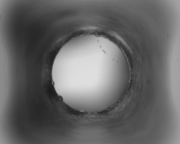 X0000099980967200805231019