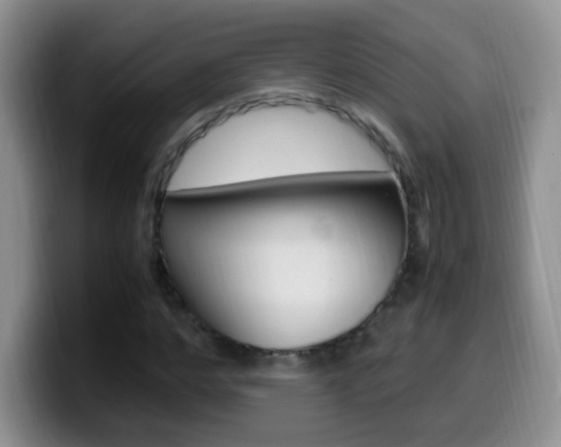 X0000099980968200805231019