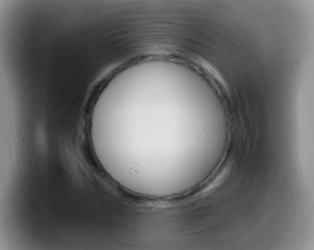 X0000099980970200805231019