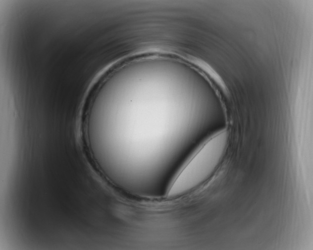 X0000099980972200805231019