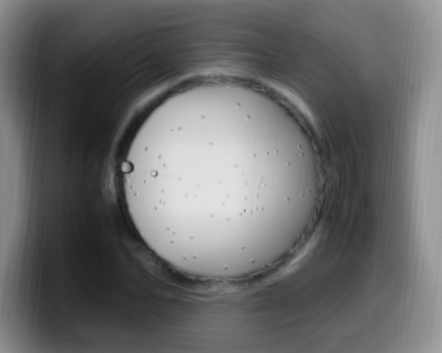 X0000099980974200805231019