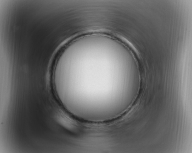 X0000099980975200805231019