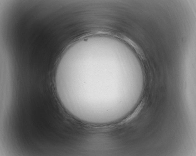 X0000099980977200805231019