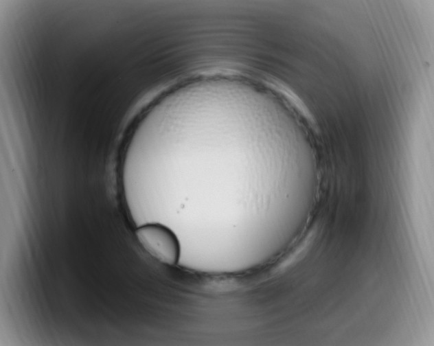 X0000099980978200805231019