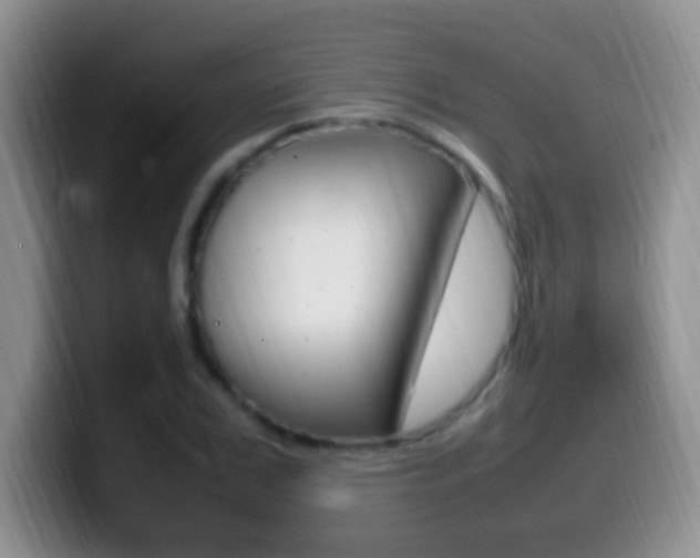 X0000099980979200805231019