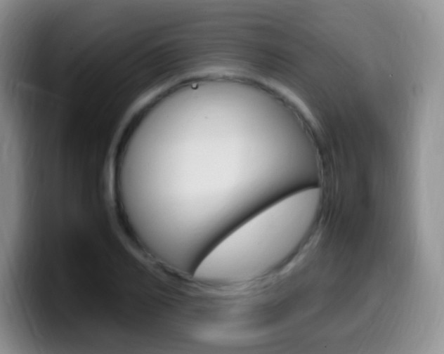 X0000099980982200805231019