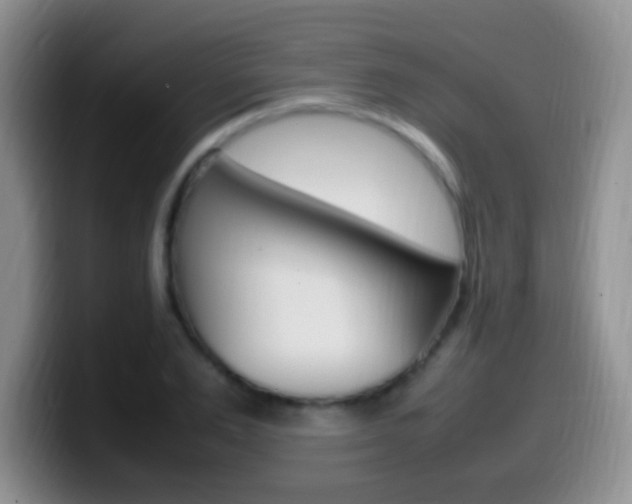 X0000099980983200805231019