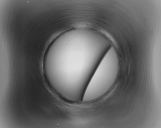 X0000099980986200805231019