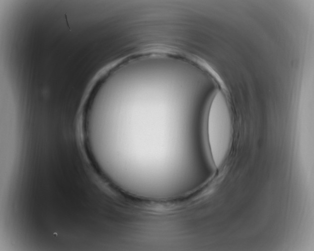 X0000099980987200805231019