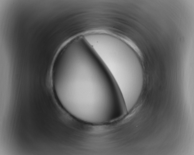 X0000099980988200805231019