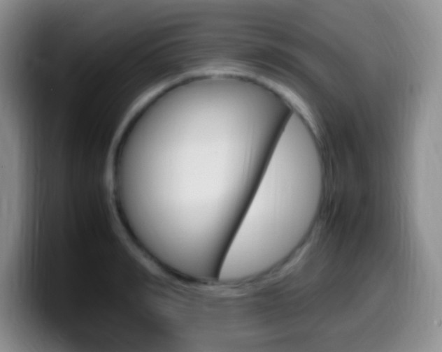 X0000099980990200805231019