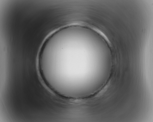 X0000099980991200805231019