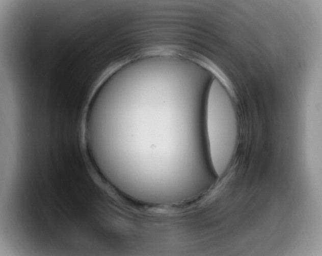 X0000099980994200805231019