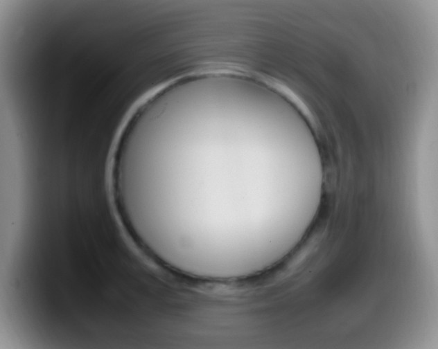 X0000099980995200805231019