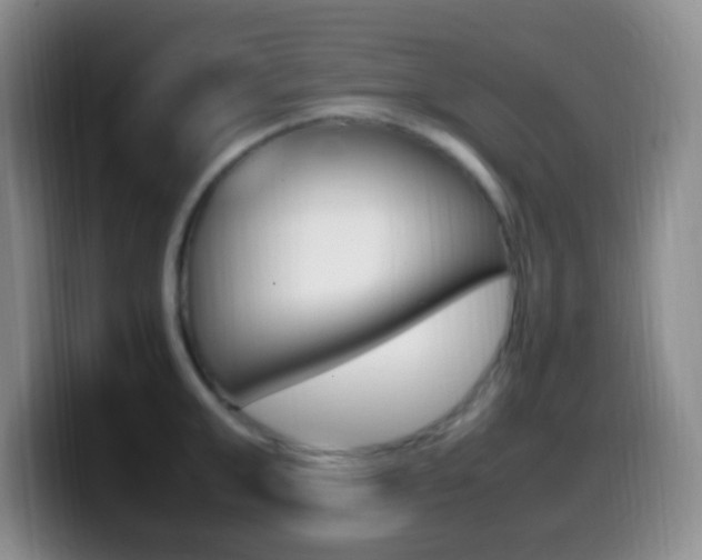 X0000099980999200805231019