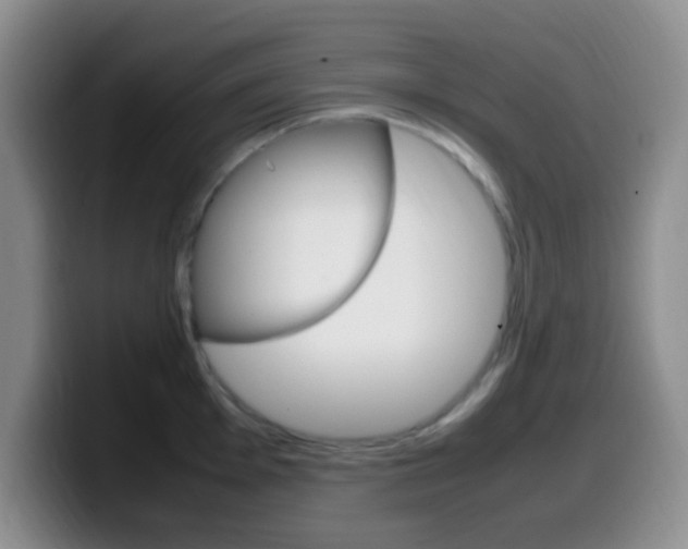 X0000099981001200805231019