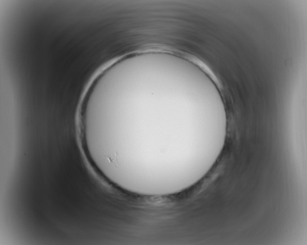 X0000099981003200805231019